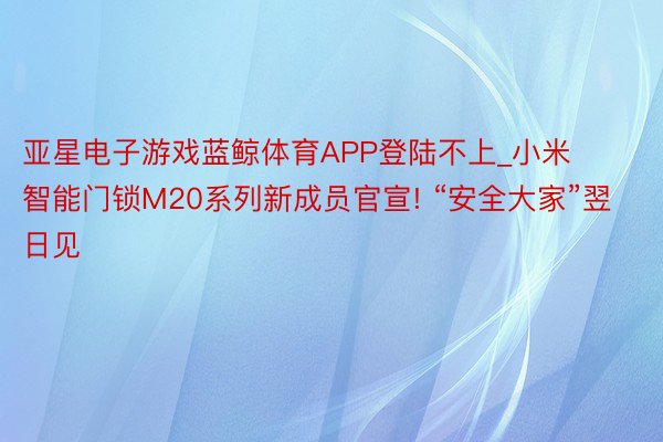 亚星电子游戏蓝鲸体育APP登陆不上_小米智能门锁M20系列新成员官宣! “安全大家”翌日见