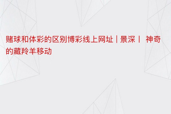 赌球和体彩的区别博彩线上网址 | 景深丨 神奇的藏羚羊移动