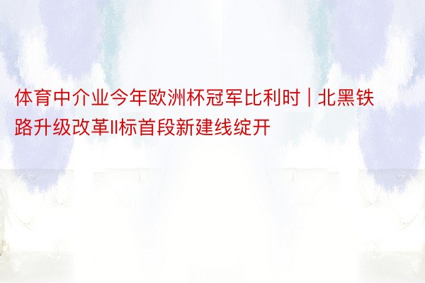 体育中介业今年欧洲杯冠军比利时 | 北黑铁路升级改革II标首段新建线绽开