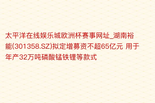 太平洋在线娱乐城欧洲杯赛事网址_湖南裕能(301358.SZ)拟定增募资不超65亿元 用于年产32万